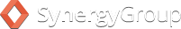 The Synergy Group Logo